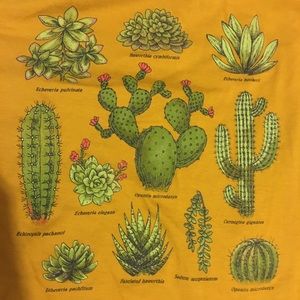 NWOT Gold Cactus Short Sleeve Graphic Tee Target